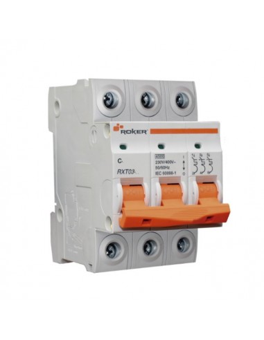 Roker Rxt0306  Termica Din Trip   6a.