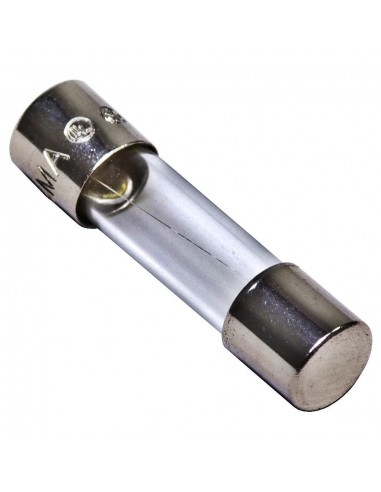 Mgl B170 Fusible De Vidrio 21mm  6.0 A